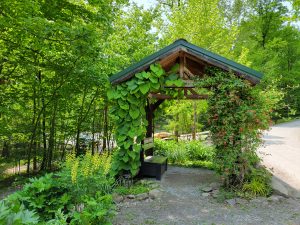 Botanic Garden docent tours encourage an appreciation of the natural world